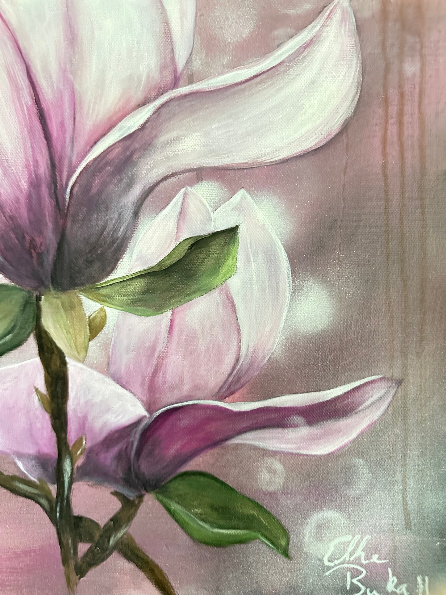 Magnolien