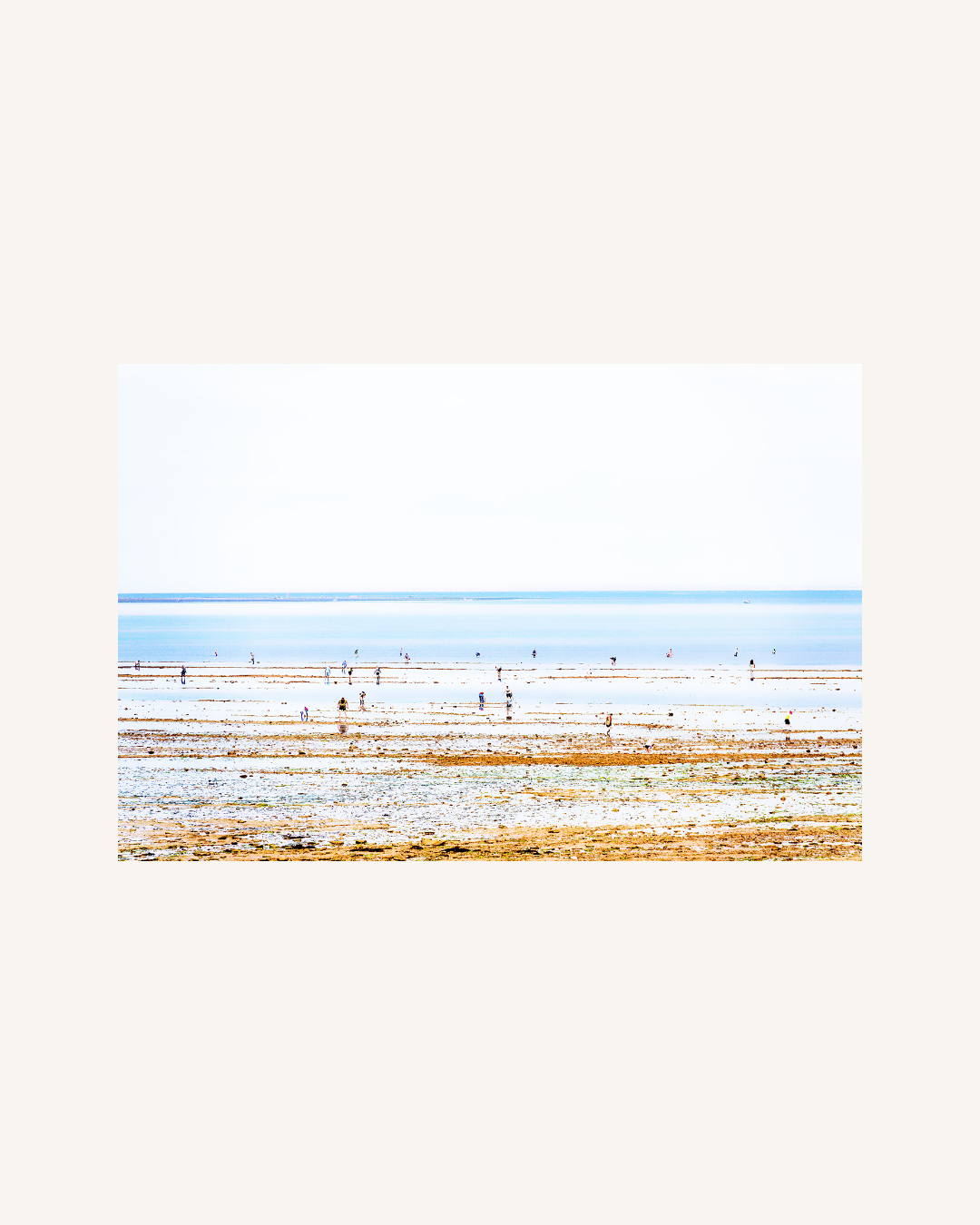 Crab Searcher, Ile de Ré, France 0