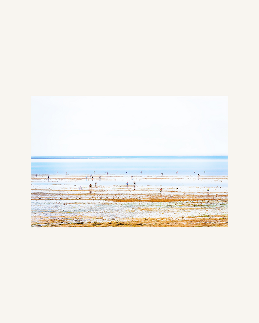 Crab Searcher, Ile de Ré, France 0