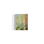 Simplifying Nature