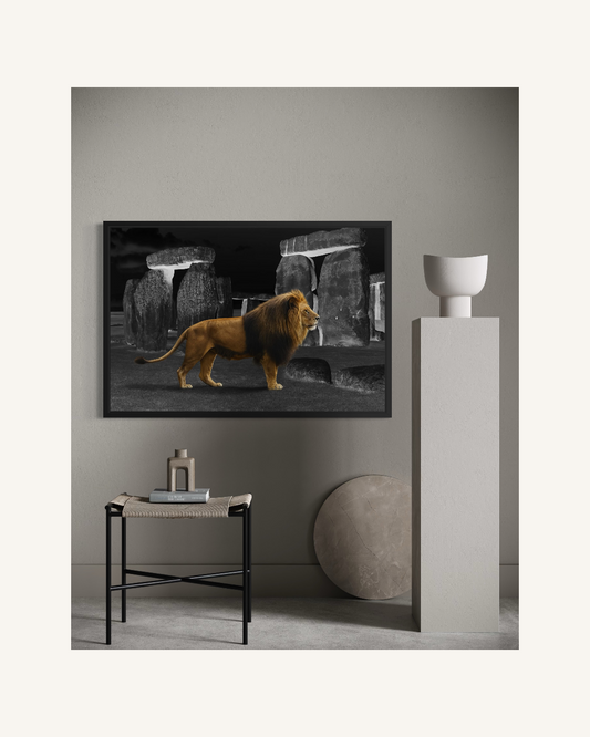 Kings of Evolution 1