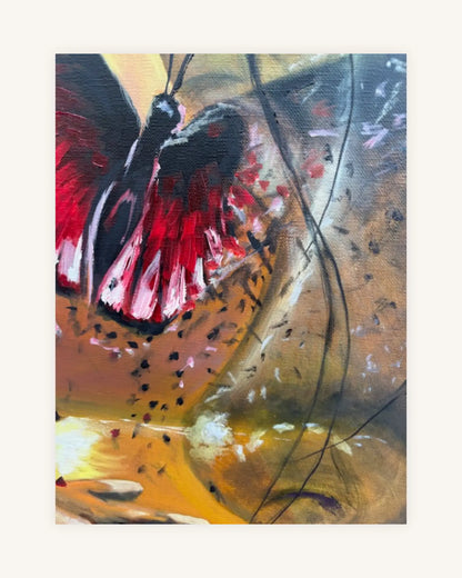 The Butterfly´s Touch 5