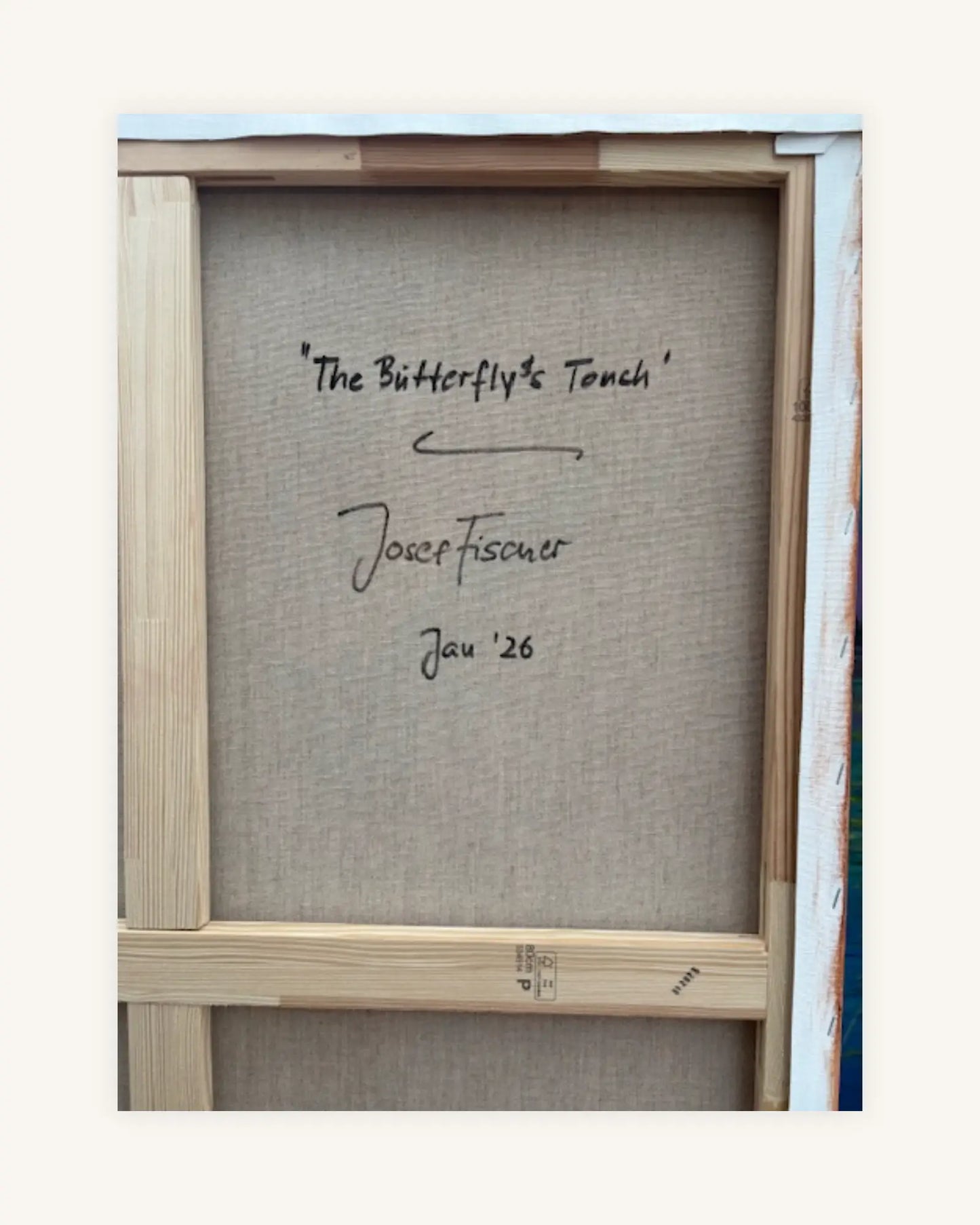 The Butterfly´s Touch 1