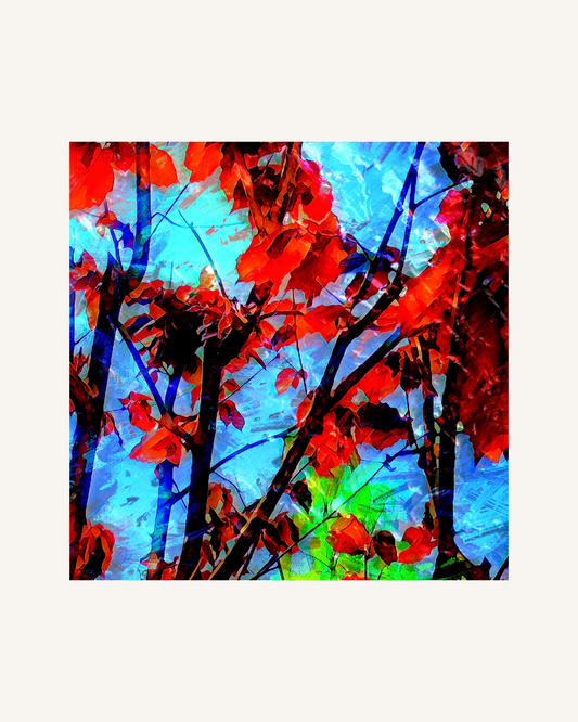 Verzweigte Träume No 1 0