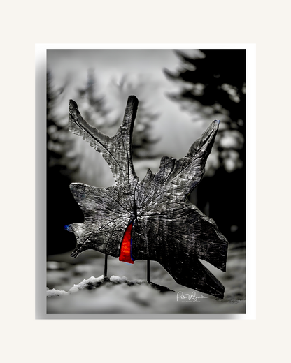 Gedächtnis der Glut 0