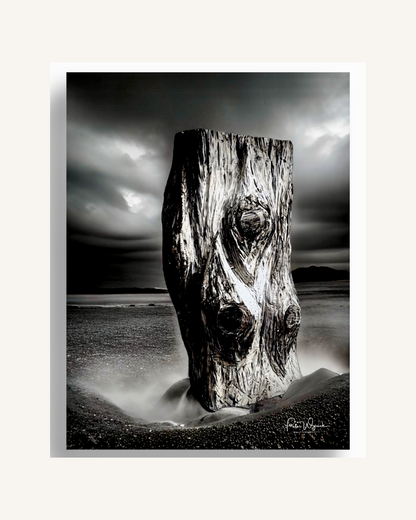 Im Schatten der Stille 0