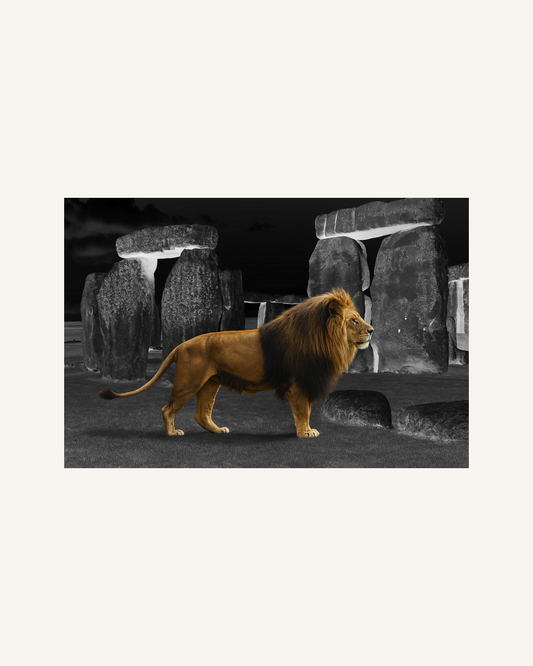 Kings of Evolution 0