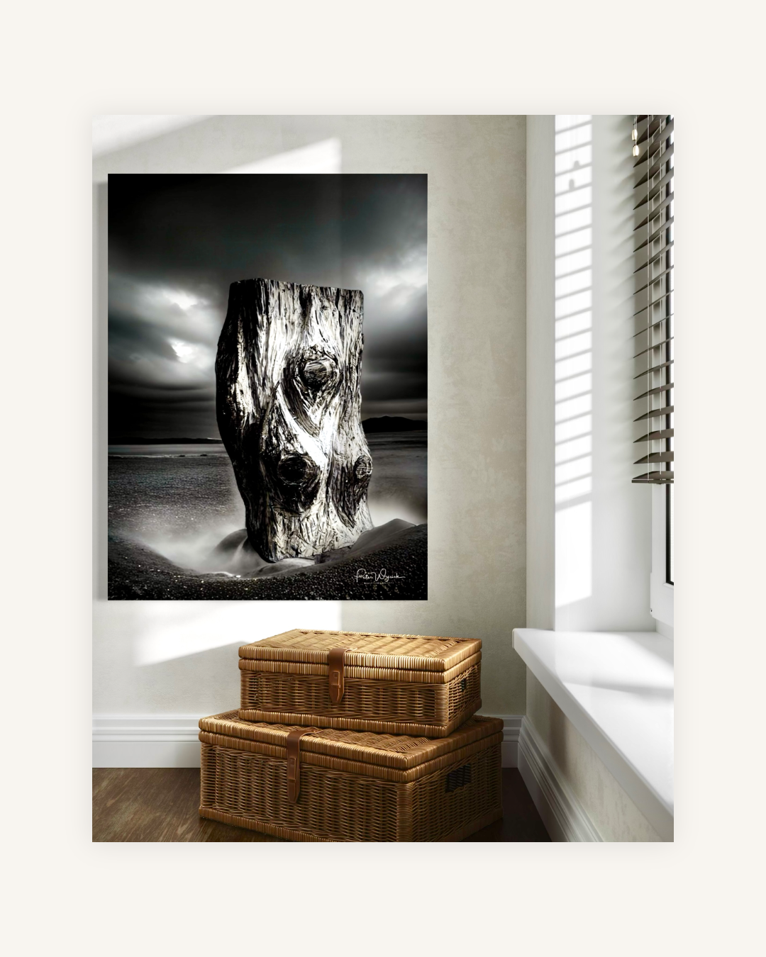 Im Schatten der Stille 1