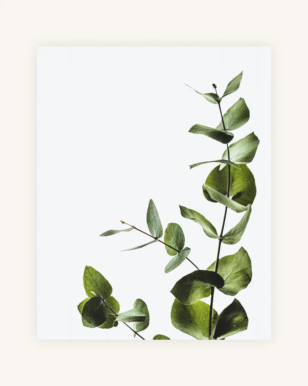 Test44 0