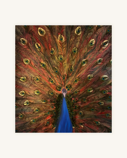 The Peacock from the Ashes 0