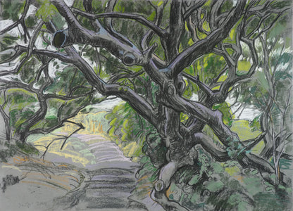 " Sentier littoral bei Gruchy " 0